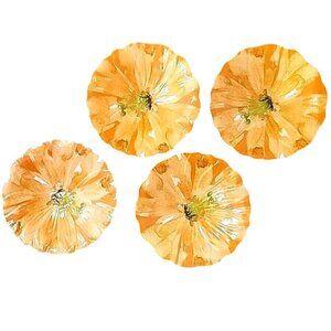 4 Yellow Hibiscus Flower Dessert Plates Bowring Melamine Plastic Appetizer Party